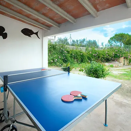 Owl Marineta - Family And Friends Willa Pollensa