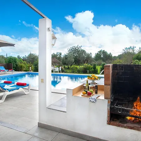 Owl Marineta - Family And Friends * Pollensa