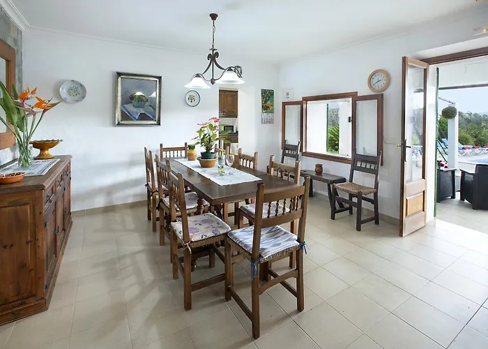 Owl Marineta - Family And Friends