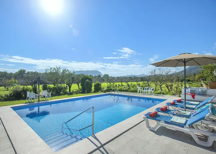 Owl Marineta - Family And Friends Willa *