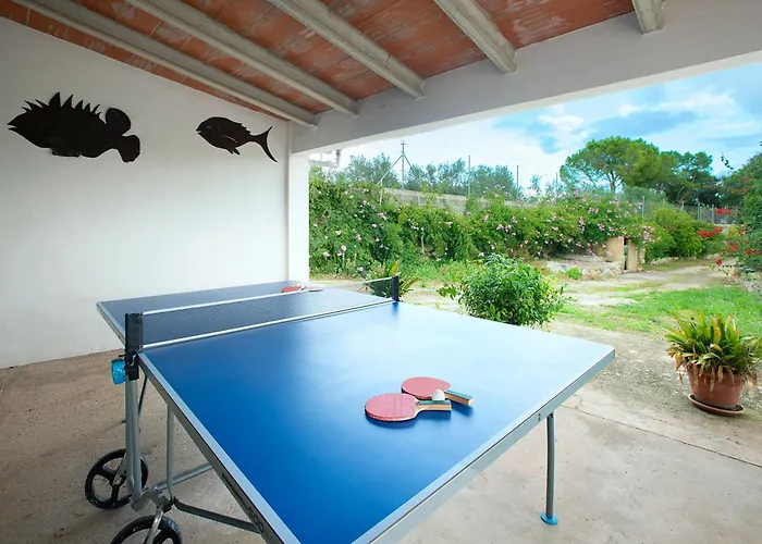 Owl Marineta - Family And Friends Willa Pollensa