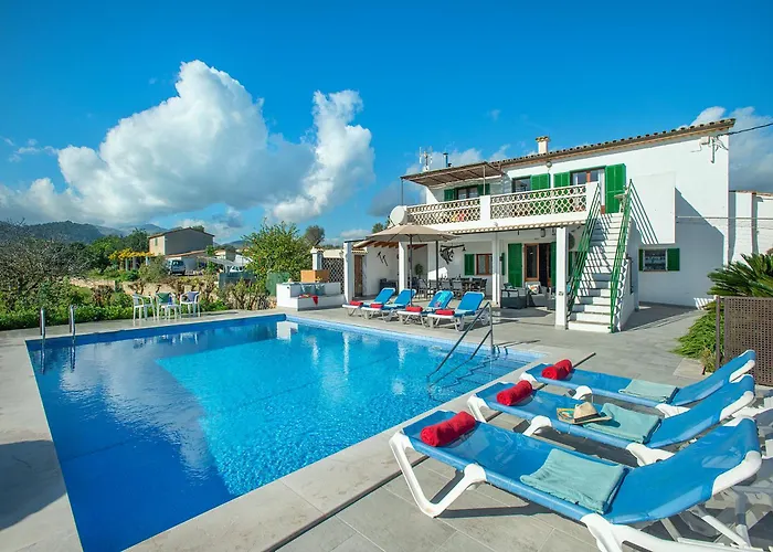 Owl Marineta - Family And Friends