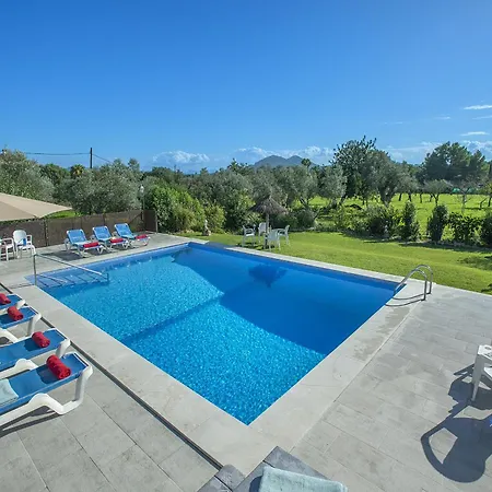 Owl Marineta - Family And Friends פוינסה