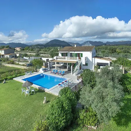 Owl Marineta - Family And Friends *