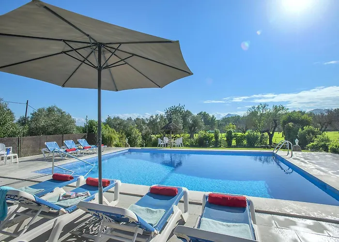 Owl Marineta - Family And Friends *