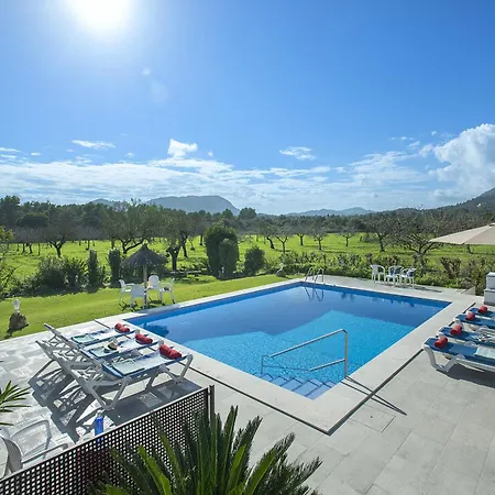 Owl Marineta - Family And Friends *