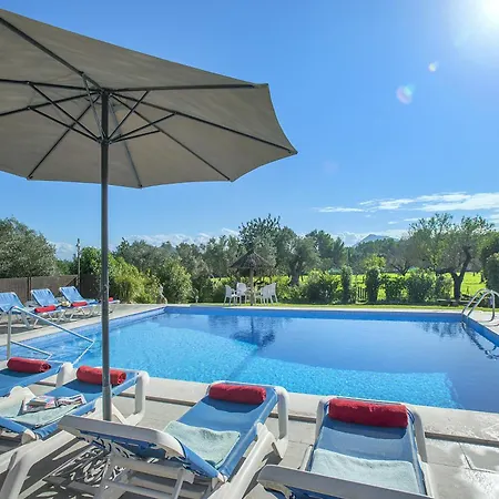 Owl Marineta - Family And Friends *