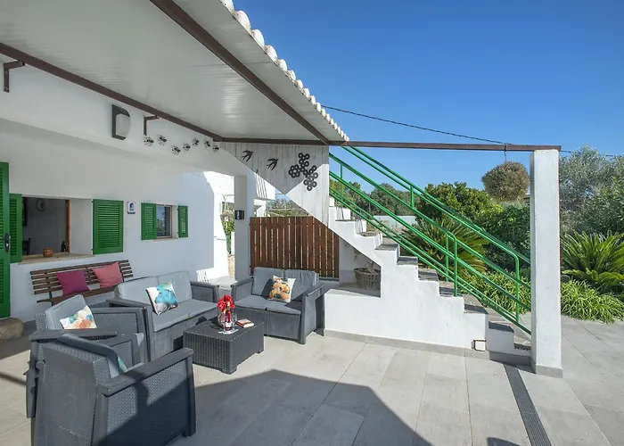 Owl Marineta - Family And Friends