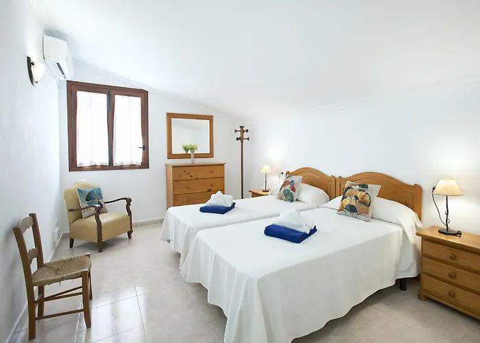 Owl Marineta - Family And Friends Pollença